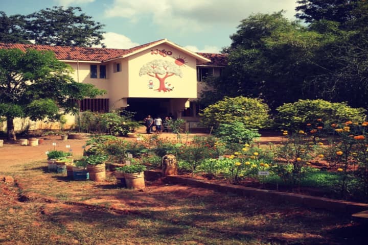 Vikasa Vidya Vanam School campus