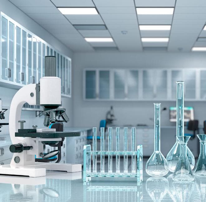 Carmel Academy C.M.I. I.C.S.E. School campus