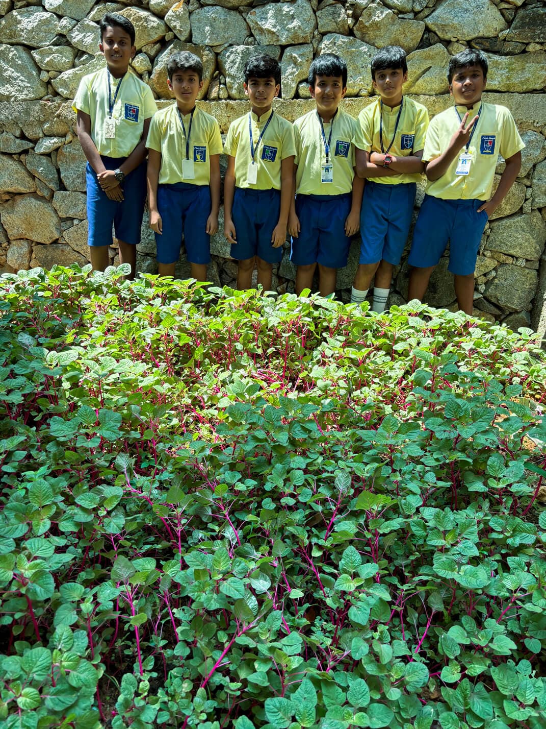 L'école Chempaka Serene Valley campus