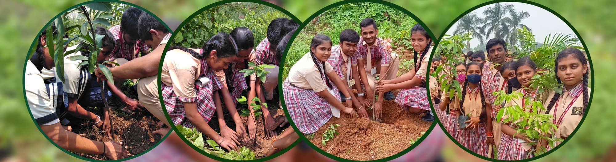 Loreto English School campus