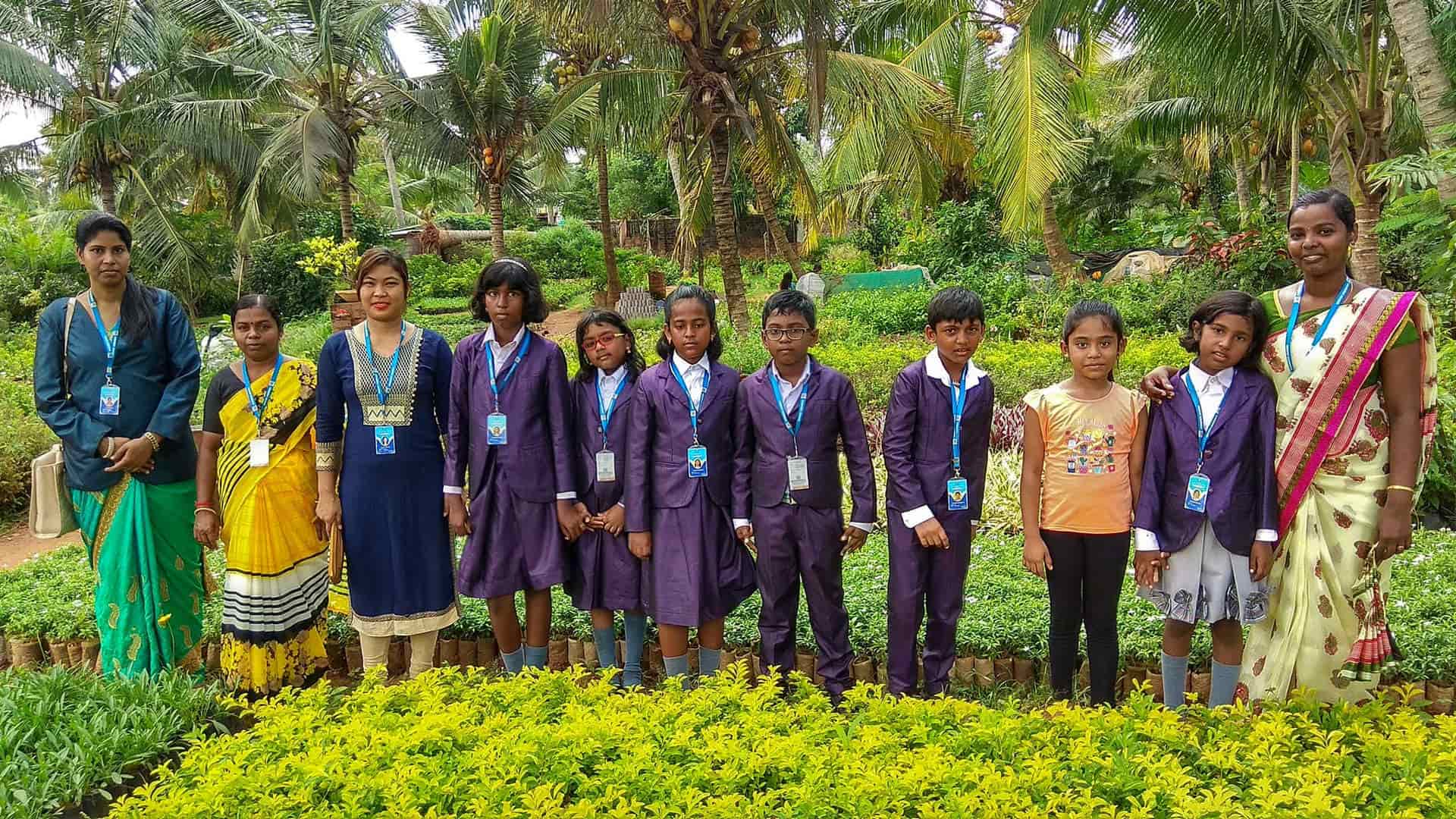 Vinmeen School campus